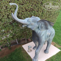 фото из отзыва ID 2275475