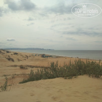 фото из отзыва ID 2275759