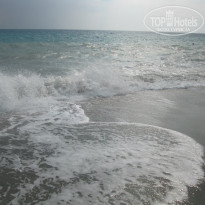 фото из отзыва ID 2276074