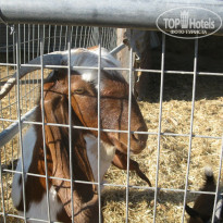 фото из отзыва ID 2276076