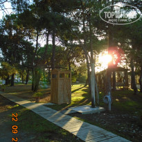 фото из отзыва ID 2276067