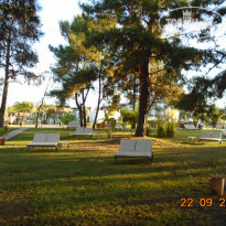 фото из отзыва ID 2276067