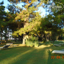 фото из отзыва ID 2276067