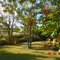 фото из отзыва ID 2276067