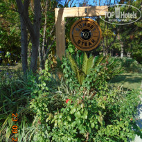 фото из отзыва ID 2276067