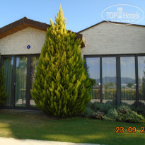 фото из отзыва ID 2276067