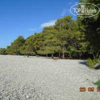 фото из отзыва ID 2276067