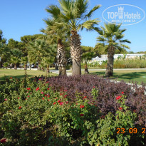 фото из отзыва ID 2276067