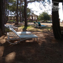 фото из отзыва ID 2276067