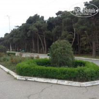 фото из отзыва ID 2276096