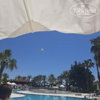 фото из отзыва ID 2276123