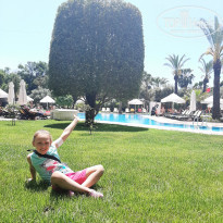 фото из отзыва ID 2276123