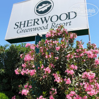 фото из отзыва ID 2276175