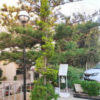 фото из отзыва ID 2276196