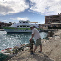 фото из отзыва ID 2276242