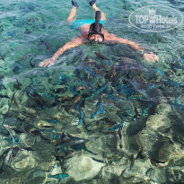 фото из отзыва ID 2276242