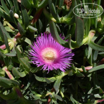 фото из отзыва ID 2276372