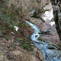 фото из отзыва ID 2276524