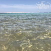 фото из отзыва ID 2276530