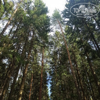 фото из отзыва ID 2276613