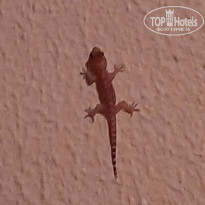 фото из отзыва ID 2276607