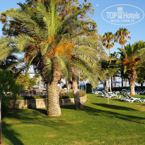 фото из отзыва ID 2276638