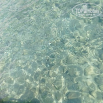 фото из отзыва ID 2276734