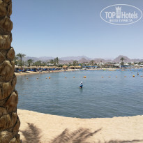 фото из отзыва ID 2276781