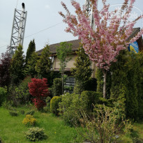 фото из отзыва ID 2276992