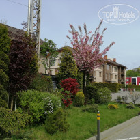 фото из отзыва ID 2276992