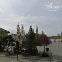 фото из отзыва ID 2276992