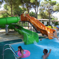 фото из отзыва ID 2277001