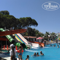 фото из отзыва ID 2277009