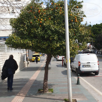 фото из отзыва ID 2277005