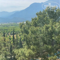 фото из отзыва ID 2277029