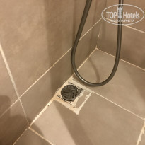 фото из отзыва ID 2277123