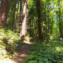 фото из отзыва ID 2277443