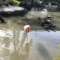 фото из отзыва ID 2277565