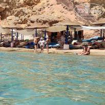 фото из отзыва ID 2277071