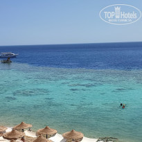 фото из отзыва ID 2277071