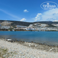 фото из отзыва ID 2277704