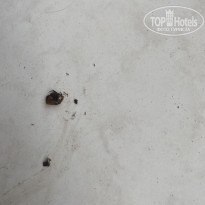 фото из отзыва ID 2277648