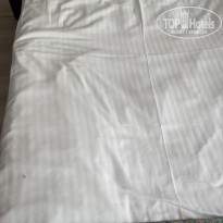 фото из отзыва ID 2277785