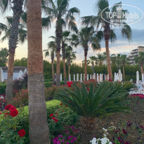 фото из отзыва ID 2277970