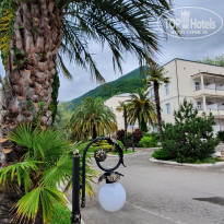 фото из отзыва ID 2278000