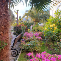 фото из отзыва ID 2278000