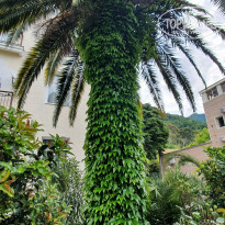 фото из отзыва ID 2278000