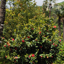 фото из отзыва ID 2278000