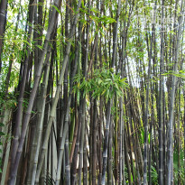 фото из отзыва ID 2278000