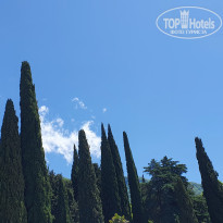 фото из отзыва ID 2278000